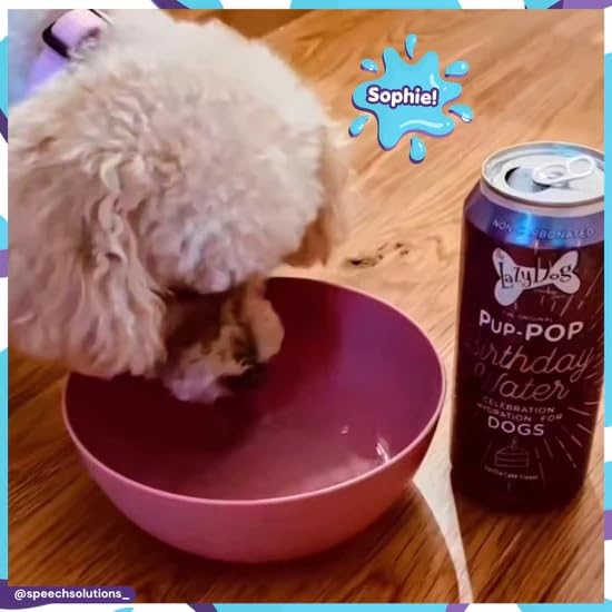 The Lazy Dog Cookie Co. Ultimate Birthday Celebration Kit for Dogs. Includes Chraming Boy Pie, Bag of Birthday Cake Bites, Make