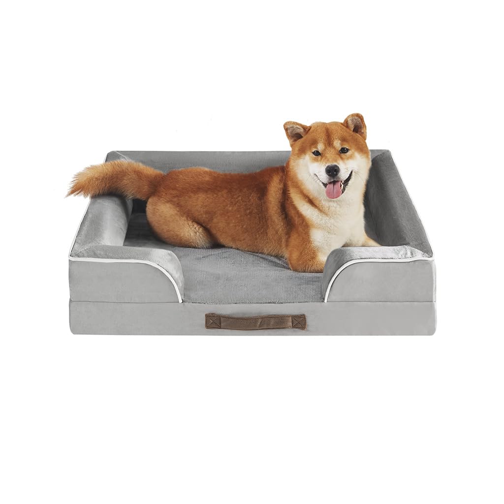 Friends Forever Orthopedic Dog Bed for Medium Dogs, Waterproof Memory Foam Dog Sofa Bed M with Removable Washable Cover, Ally Gr