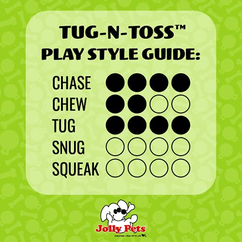 Jolly Pets Tug-N-Toss Heavy Duty Dog Toy Ball With Handle, 10 Inches/X-Large, Blueberry For All Breed Sizes