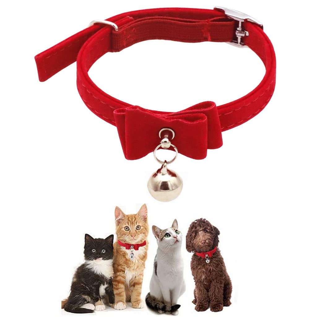 Hasthip Adjustable Cat Belt, Strong Breakaway Buckle, Cat Collar