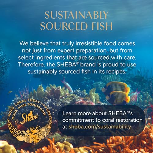Sheba Perfect Portions Wet Cat Food Cuts in Gravy with Sustainable Salmon, 2.6 oz., Twin-Pack Trays (24 Count, 48 Servings)