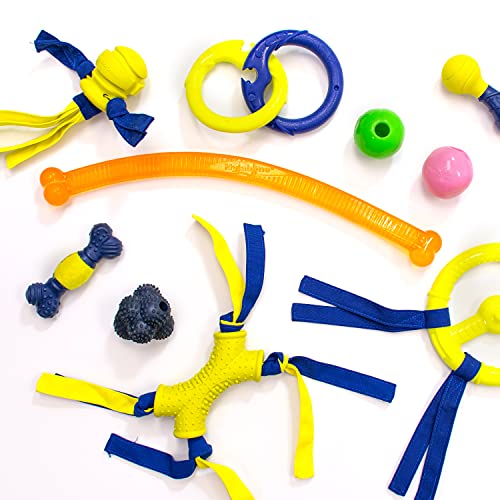 Nylabone Power Play Dog Fetch Toys Fling-A-Bounce Medium (1 Count)