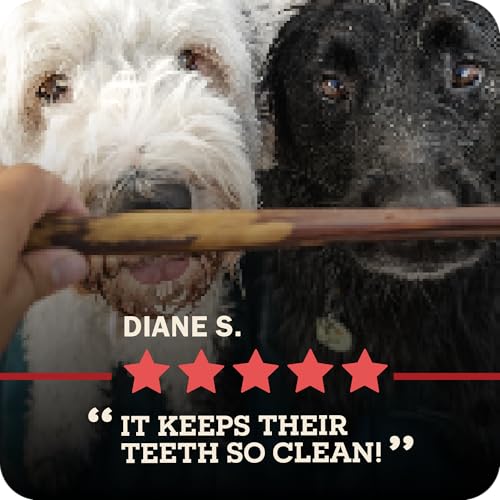 Redbarn Pet Products All-Natural 12 Braided Bully Sticks for Dogs - Premium Grain-Free & Rawhide-Free Single Ingredient Long Las