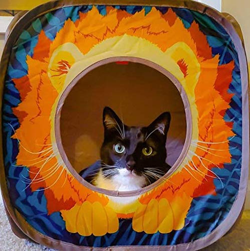 Kitty City Safari Play Cubee - Multicolor Cat Cube, 15" H x 15" W, Polyester Play Kennel & Bed, Model SP-0376-CS01
