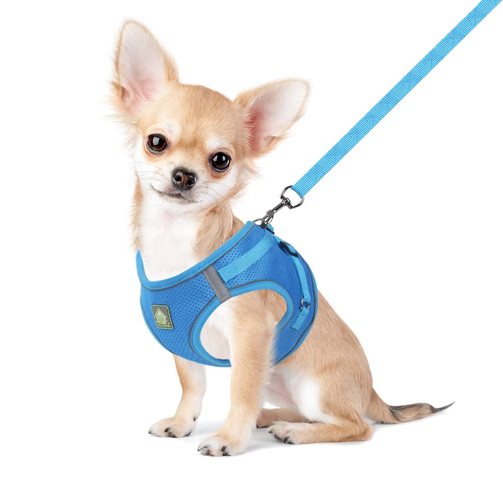 Feimax Dog Harness And Leash Set, No Pull Pet Harnesses Soft Mesh Reflective Escape Proof Vest For Small Medium Dogs Cats Adjustable For Puppy Kitten Rabbit