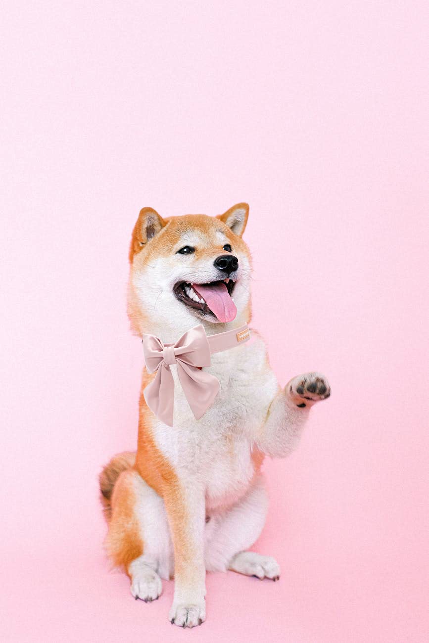 Unique Style Paws Silk Pink Color Dog Collar Adjustable Durable Dog Collar With Bow Wedding Bowtie Collar For Large Dogs