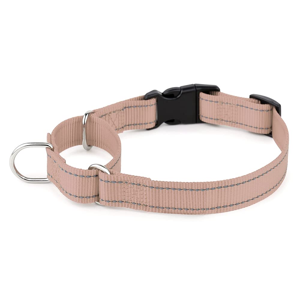 Plutus Pet Reflective Martingale Collar With Buckle - Durable And Adjustable Training Collar For No Pulling, Dog Choker Collar F