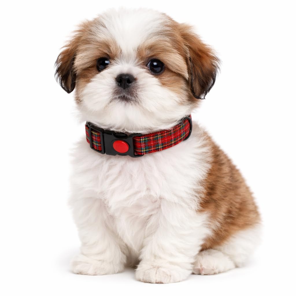 Emily Pets Dog Collar With Safety Locking Buckle, Adjustable Soft Breathable Comfortable Nylon Pet Collar For Small, Medium Dogs