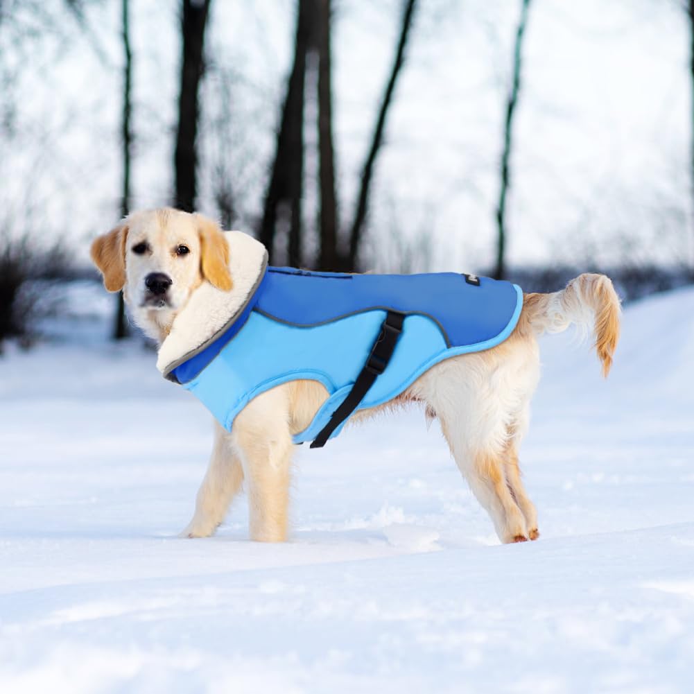 EMUST Dog Coat Winter, Warm Dog Snow Jacket for Winter, Adjustable Small/Medium/Large Dog Coat/s for Winter, New Blue, L