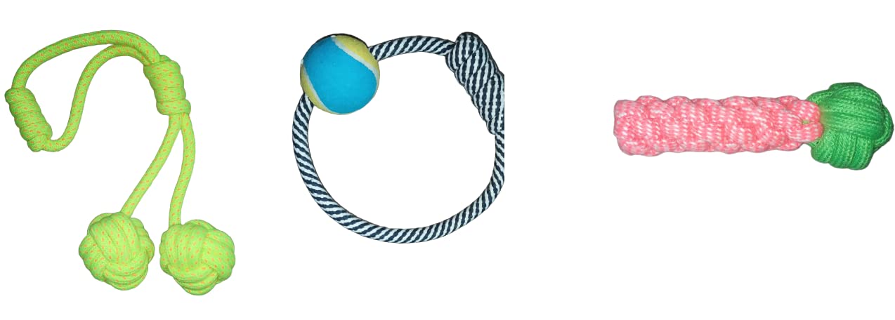Dog Trust Rope 2 Knotted Ball/Ring With Cosco/Mike Ball (Combo Pack Of 3)