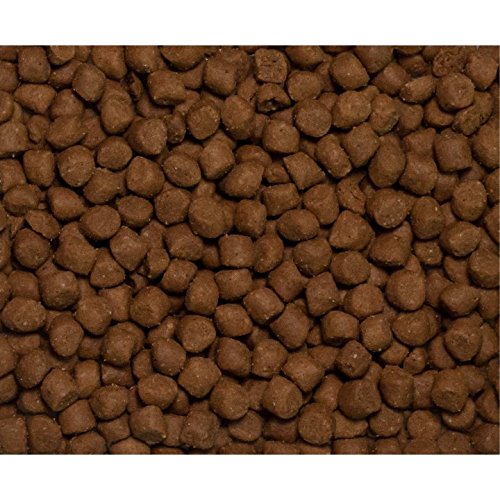 Wysong Fundamentals Canine/Feline Formula Dry Dog/Cat Food, 5 lb