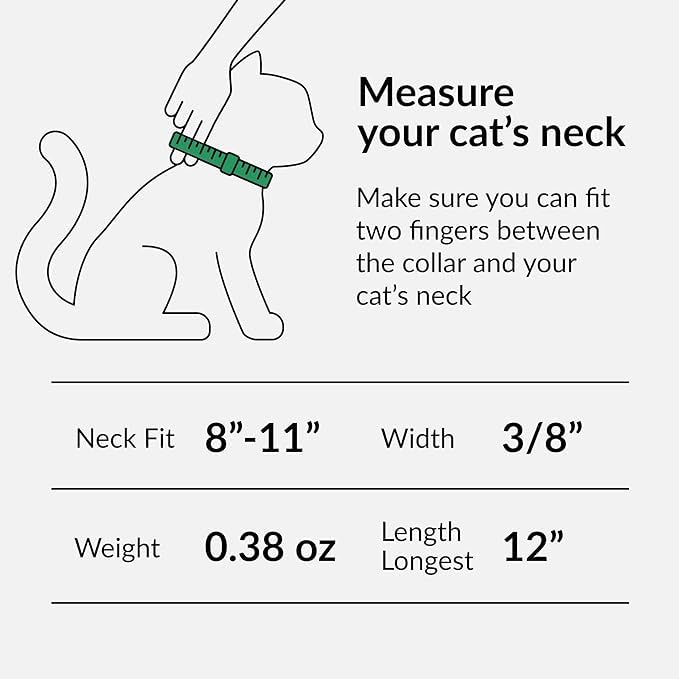 Extra Small Cat Collar With Bells Cute Small Dog Collar For Small Dogs Baby Puppy Kitten Collar Girl Boy Adjustable For Xxs Xxsm