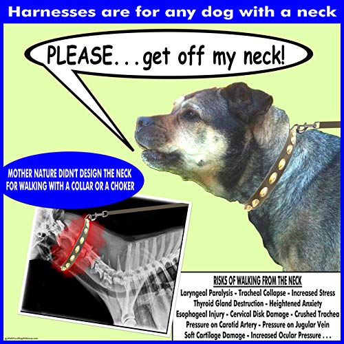 Walk Your Dog With Love No-Choke No-Pull Front-Leading Dog Harnesses - Sportso Doggo Edition-Sapphire Blue-18-35 Lbs (8-16 Kg)