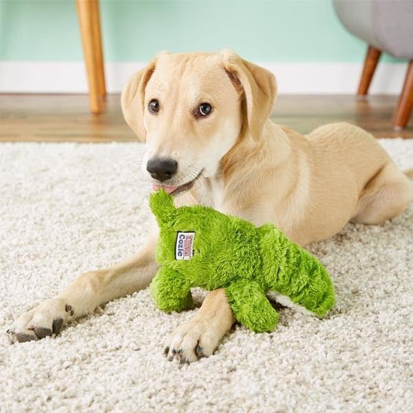 Kong Cozie Ali The Alligator Plush Dog Toy And Medium Cozie Baily The Blue Dog Toy Bundle