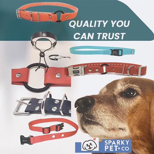 Sparky Pet Co - Zeus Ecollar Replacement Strap - Bungee Loop Dog Collar - Waterproof Biothane - Adjustable - Double Buckle - Quick Snap Metal Clasp - For Invisible Fence Systems - 3/4' X 28' Neon Pink