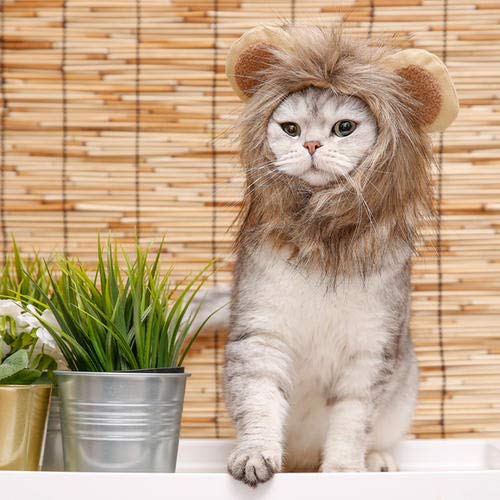 Namsan Pet Halloween Costume Cat Lion Mane Wig Halloween Outfit Small Dog Lion Hat