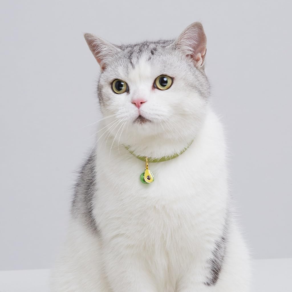 Hot Pink Kitten Bell Collar, Puppy Collar With Bell, Cute Xxs Dog Collar Girls Adjustable For Xxs Xs Small Tiny Female Cats Dogs