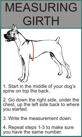 Doggie Stylz Multi-Functional Full-Body Lifting Dog Harness Vest, Designed For Front-Only, Rear-Only Or Full-Body Dog Lifting