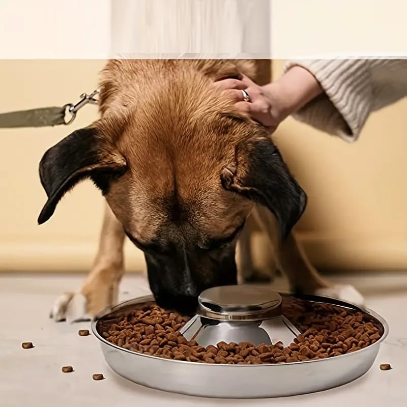Cozy Puppies Stainless Steel Dog Slow Feeder Bowl, AntiKnock AntiChoking Dog Puzzle Food Bowl Water Bowl For Indoor Dogs (36 C