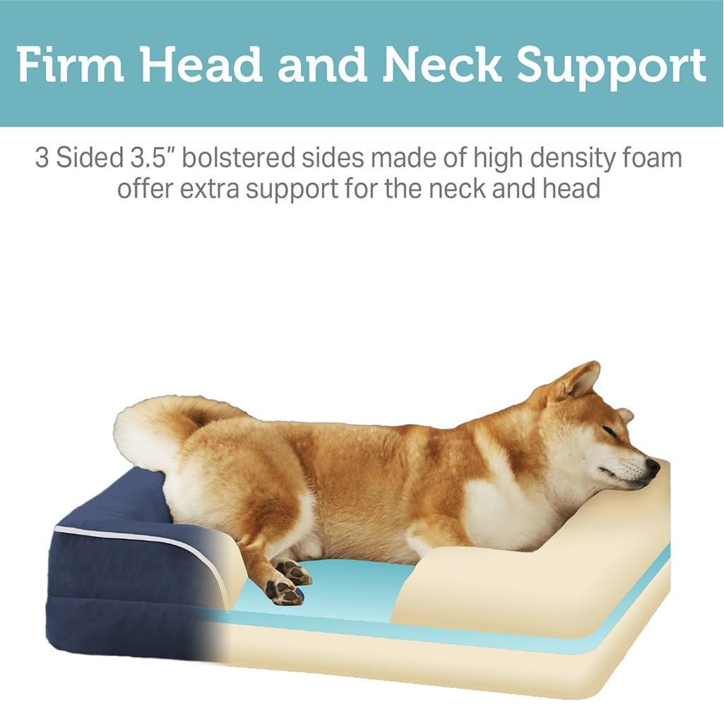 Friends Forever Orthopedic Dog Bed, Bolster Dog Bed with Memory Foam Dog Couch Sofa and Removable Washable Cover, Ally Navy, 42x