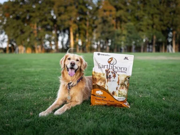 Earthborn Holistic Great Plains Feast Bison Meal & Vegetables Grain-Free Dry Dog Food 25 lb