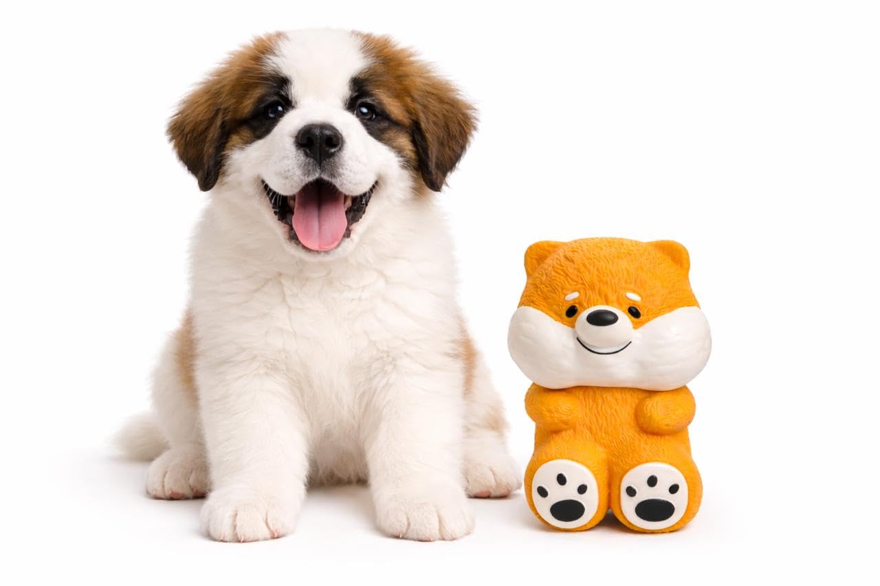 WAGGYTAILS Deluxe Quality Latex Squeaky Dog Toy (Made in U.K) 14 cm | Soft Chew Toy Specially Designed for Puppies,Small & Mediu