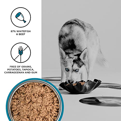 BIXBI Liberty Grain-Free Canned Wet Dog Food, Surf n Turf Recipe, 12.5 oz. Cans (Pack of 12)