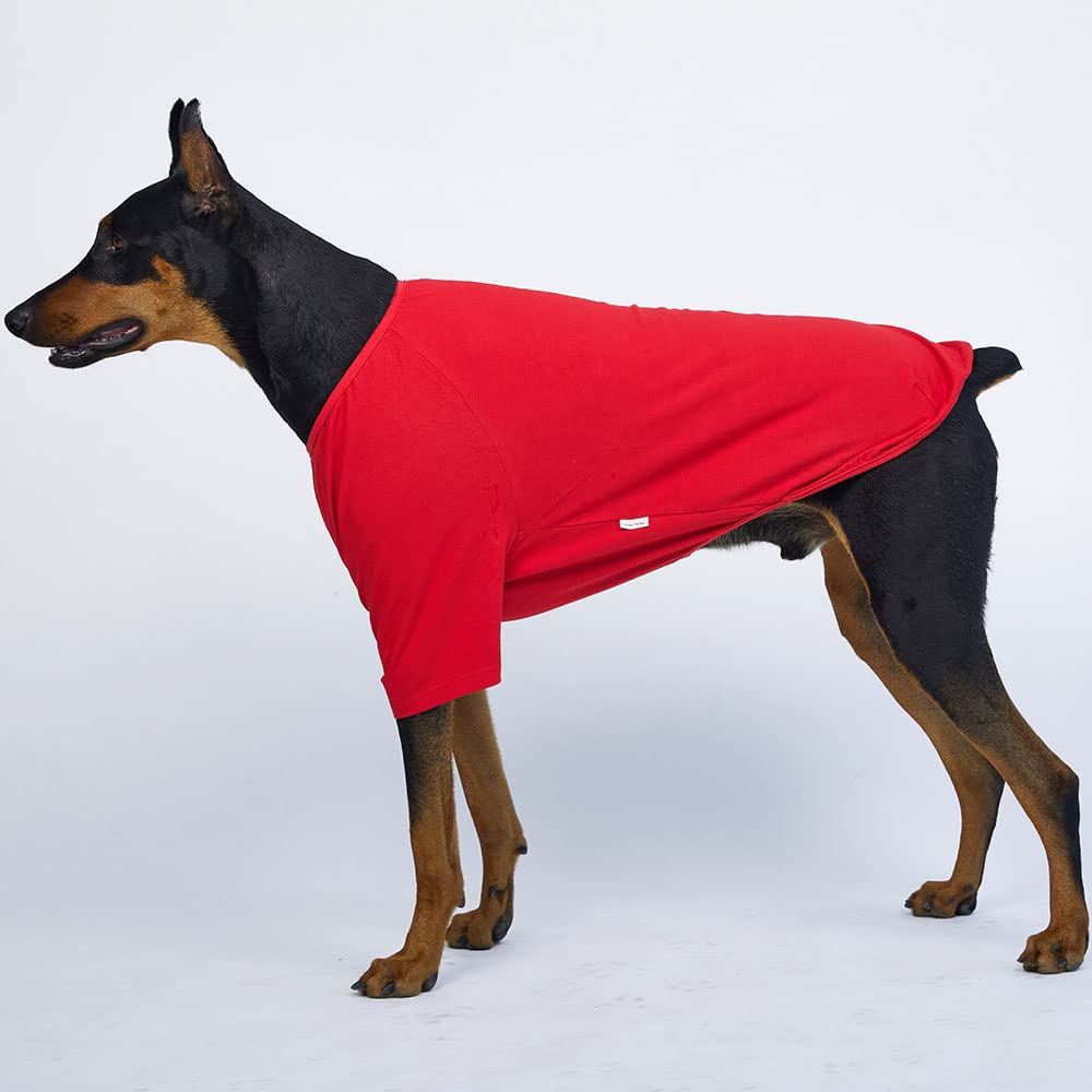 Lucky Petter Dog Shirt For Small Dogs Plain T-Shirts Soft Breathable Dog Cotton Shirt Pet Clothes (2X-Large, Red)