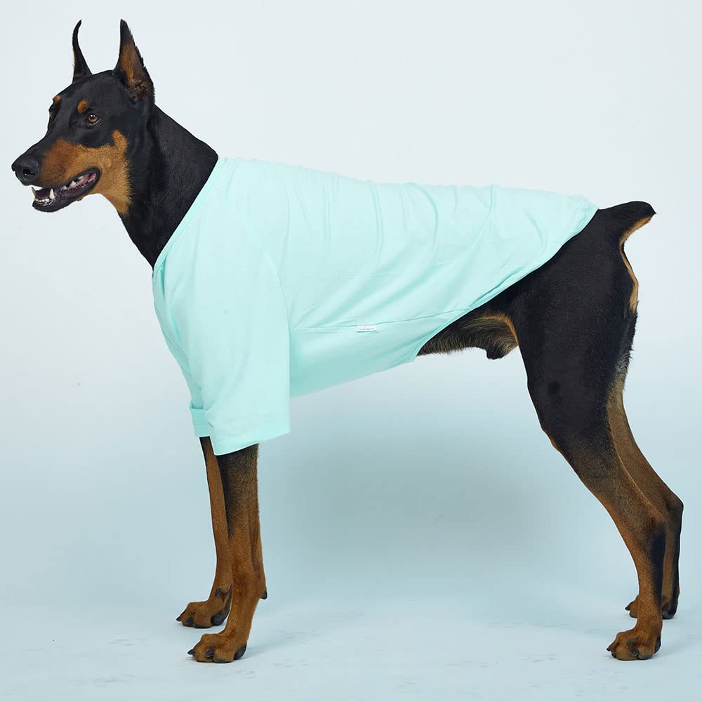 Lucky Petter Dog Shirt For Small Dogs Plain T-Shirts Soft Breathable Dog Cotton Shirt Pet Clothes (3X-Large, Mint)