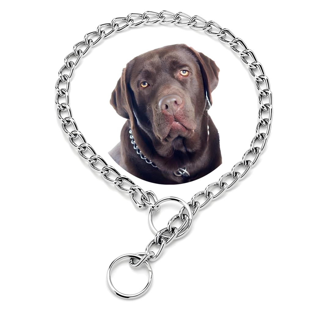 Dog Chain Collars, Silver Xxs Metal Slip Link Training Heavy Duty Dog Collar Martingale Puppy Collars For Xxs Xs Small Medium La