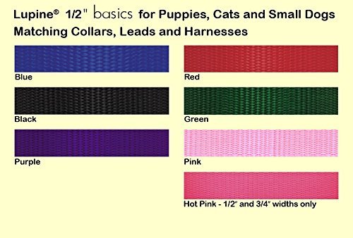 Lupinepet Basics 1/2' Blue 12-18' Step In Harness For Small Dogs