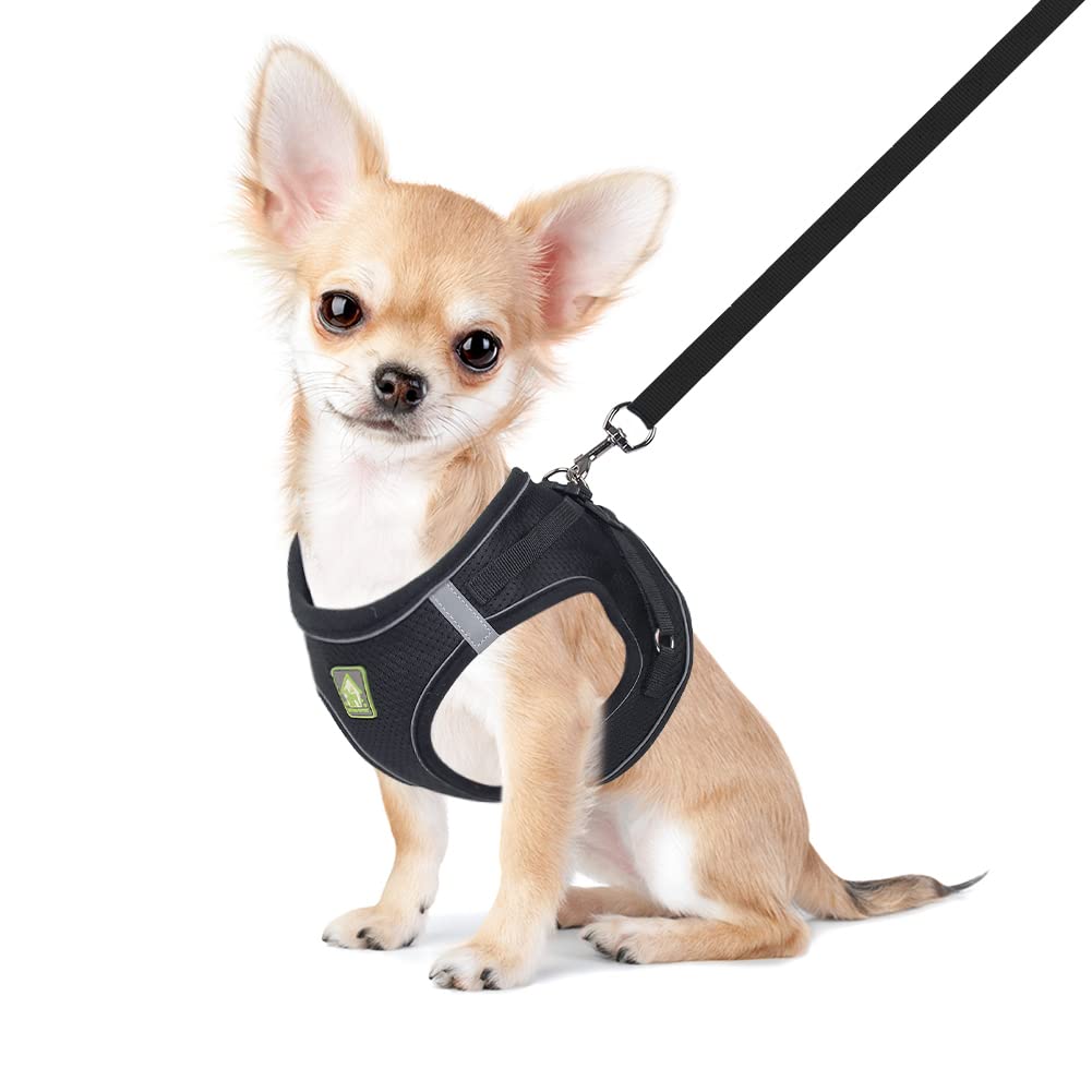 Feimax Dog Harness And Lead Set, No-Pull Breathable Soft Mesh Puppy Vest Harness Reflective Adjustable Pet Harnesses For Small Medium Dogs And Cats - Outdoor Easy Control For Walking