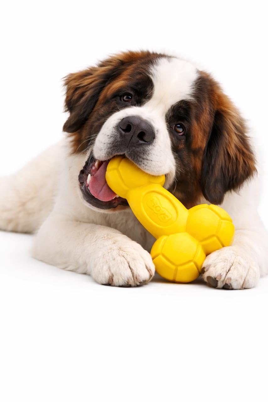 WAGGYTAILS Deluxe Quality Squeaky Dog Chew Toy (Made in U.S.A) Interactive Latex Rubber Large Bone Toy Specially Designed for Me