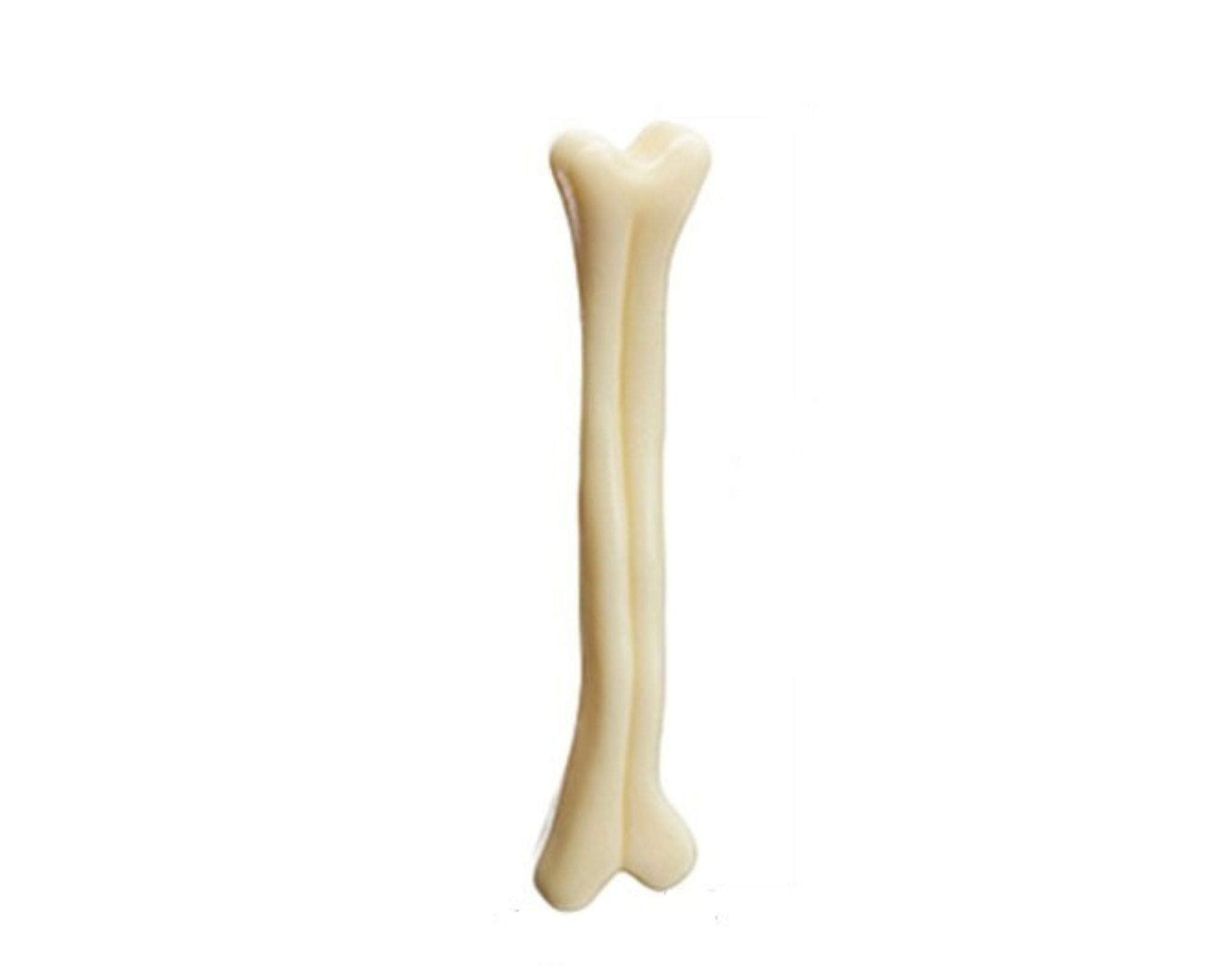 PawCloud Plastic Dog Bone Toy, Small, 5 inch