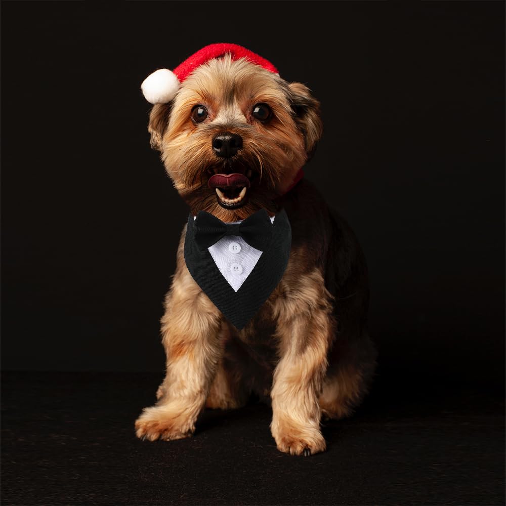 Dogtact Dog Wedding Bandana, Formal Dog Tuxedo Adjustable Pet Collar With Bow, Small, Medium And Large Dog Wedding Clothing, Birthday Gifts For Dogs (Small, Black)