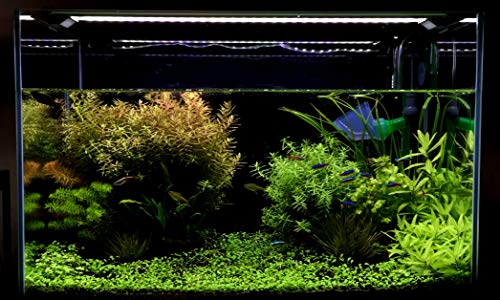 Finnex Stingray Aquarium Led Light 2.0, Plant Growing 660nm Red LEDs, 16 Inch