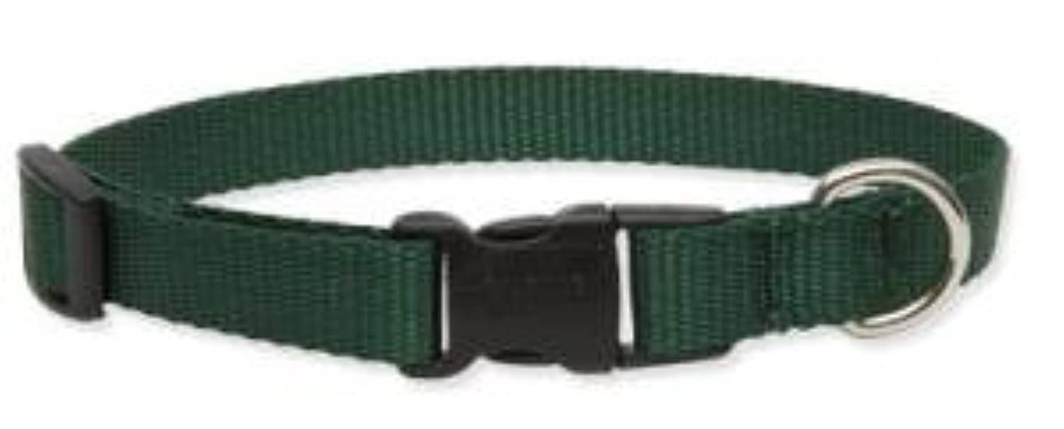 LupinePet Basics 1/2'' Purple 6-9'' Adjustable Collar for Extra Small Dogs