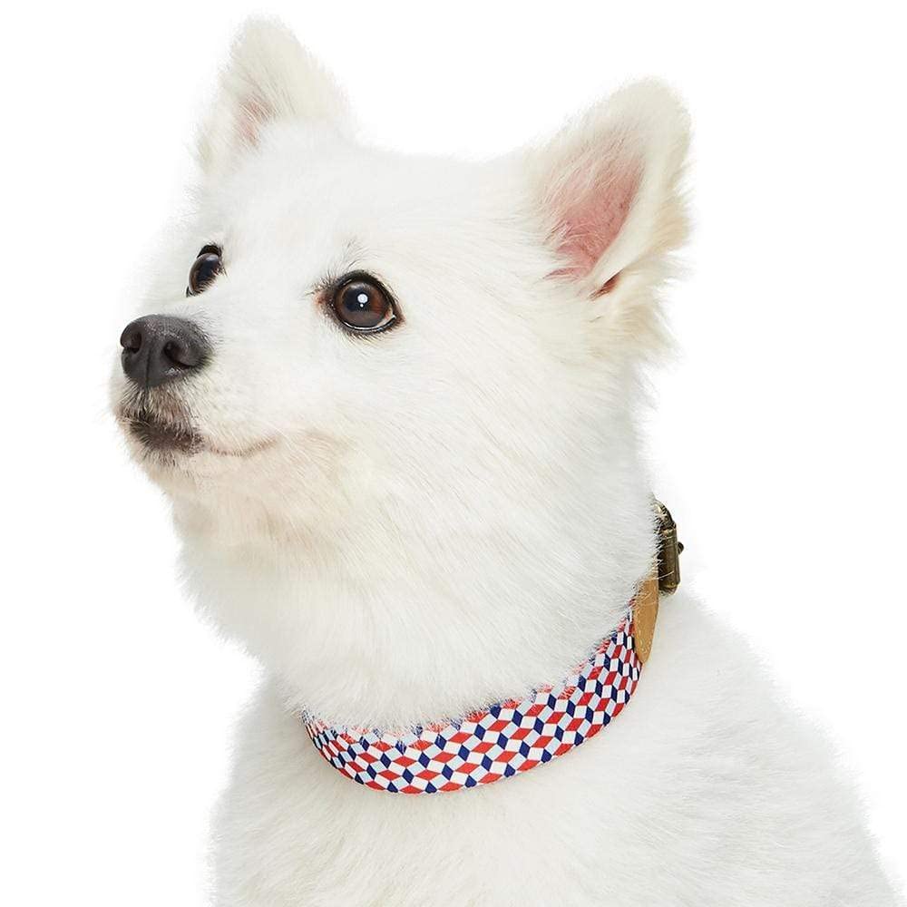 Blueberry Pet Multicolor Geometric Squares Genuine Full Grain Leather & Polyester Combo Adjustable Dog Collar, Small, Neck 12-