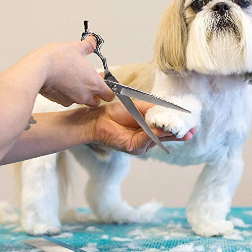 Grooming Pet Shear, 6.5 Inch Downword Curved Scissors, Curved Shears For Cat Shears And Small Dog Shears Or Any Breed Trimming Cuts, Design For Professional Pet Groomer