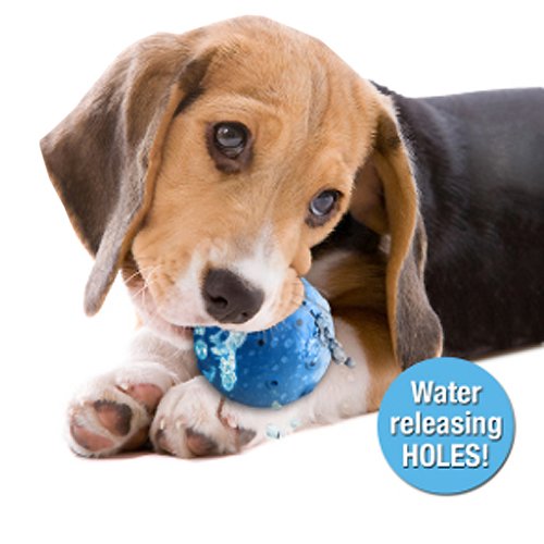 Hugs Pet Products Hydro Ball Pet Toy