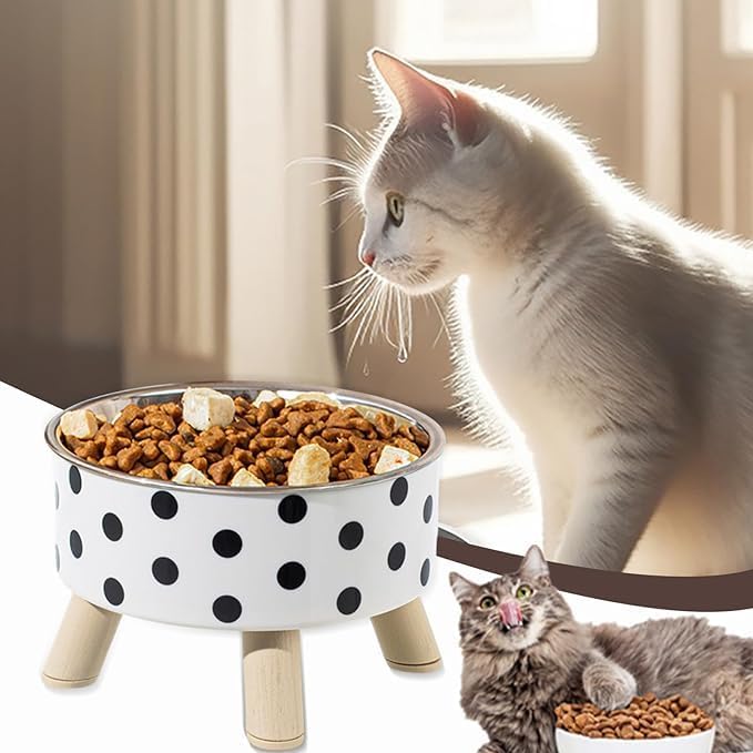 Levgry Cat Bowls NonSlip Stainless Steel Small Cat Food Bowls Unbreakable Thicken Dog Feeder Dog Dishes Suitable For Indoor Sma