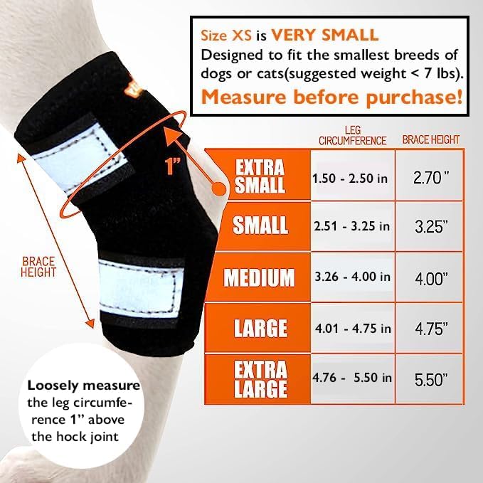NeoAlly Cat and Dog Ankle Brace Pair Canine Rear Leg Hock Support with Safety Reflective Straps for Hind Leg Wounds Heal and Inj