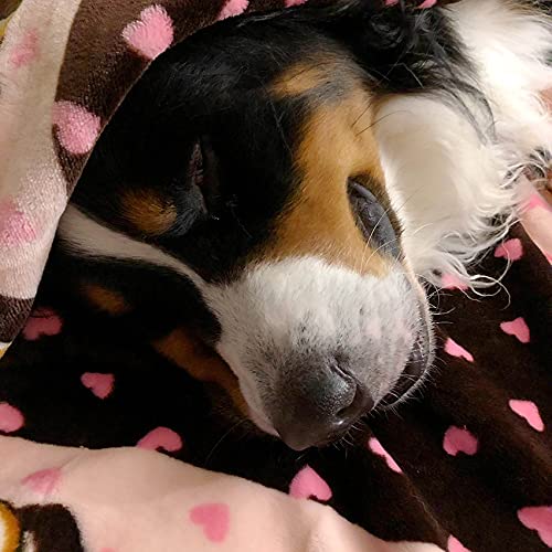 SmartPetLove Snuggle Puppy Blanket - Soft, Long Lasting, 48x30in, Pink Pattern, Model BLK2