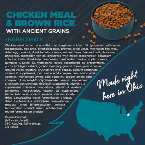 Blackwood Complete & Balanced Diet Dry Dog Food, Chicken Meal & Brown Rice with Ancient Grains, 4.5 Pound Bag, Slow Cooked with