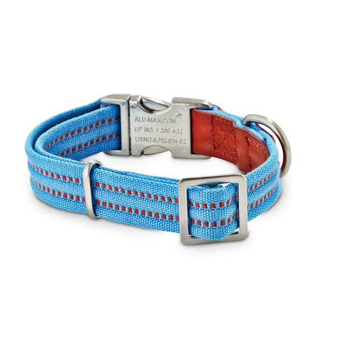 Reddy Webbed Dog Collar, Cerulean Blue, Small