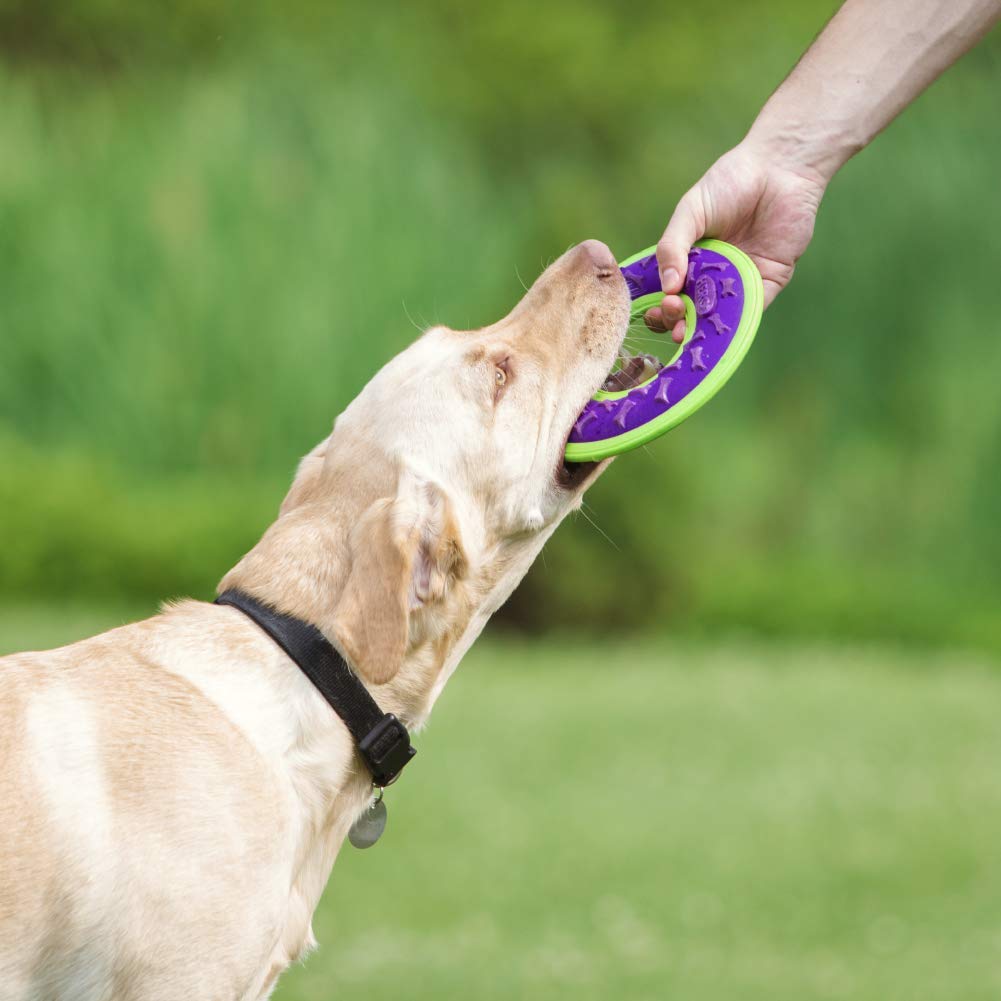 Hero Fetch Ring Dog Toy - Blue, Floats & Squeaks, Durable Outdoor Play for Dogs