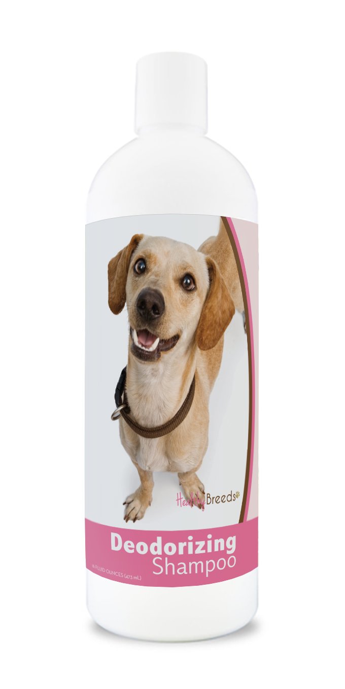 Healthy Breeds Chiweenie Deodorizing Shampoo 16 oz