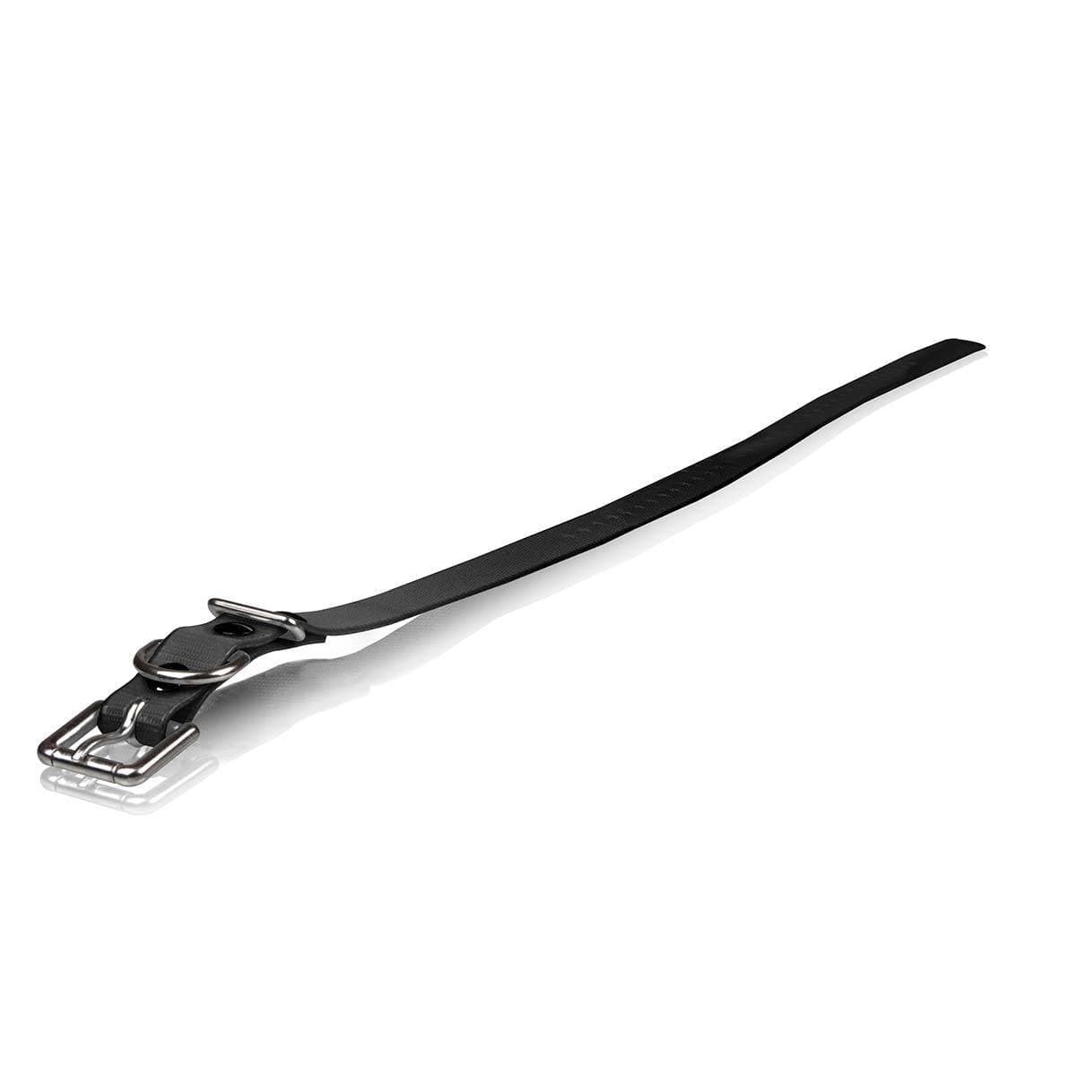 Dog Strap Size: 1' W X 30' D, Color: Roller Buckle