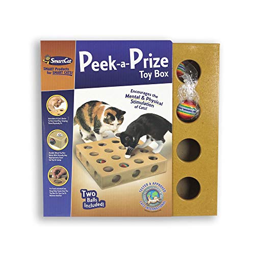 Peek-A-Prize Toy Box w/ 2 toys