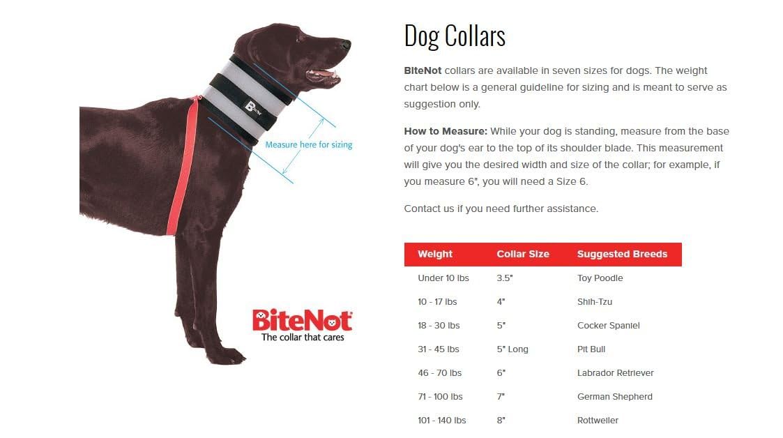 Bitenot Collar, 7' W X 28' L